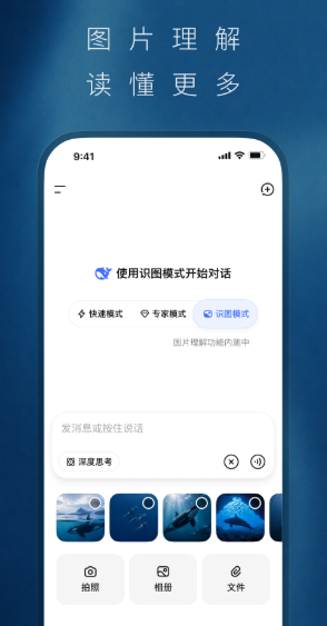 DeepSeek-ai智能助手 DeepSeek-ai智能助手